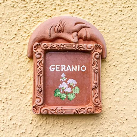 Geranio - La Fattoria * Grosseto