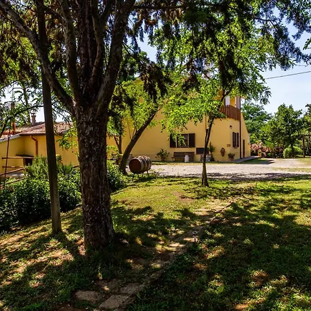 Geranio - La Fattoria * Grosseto